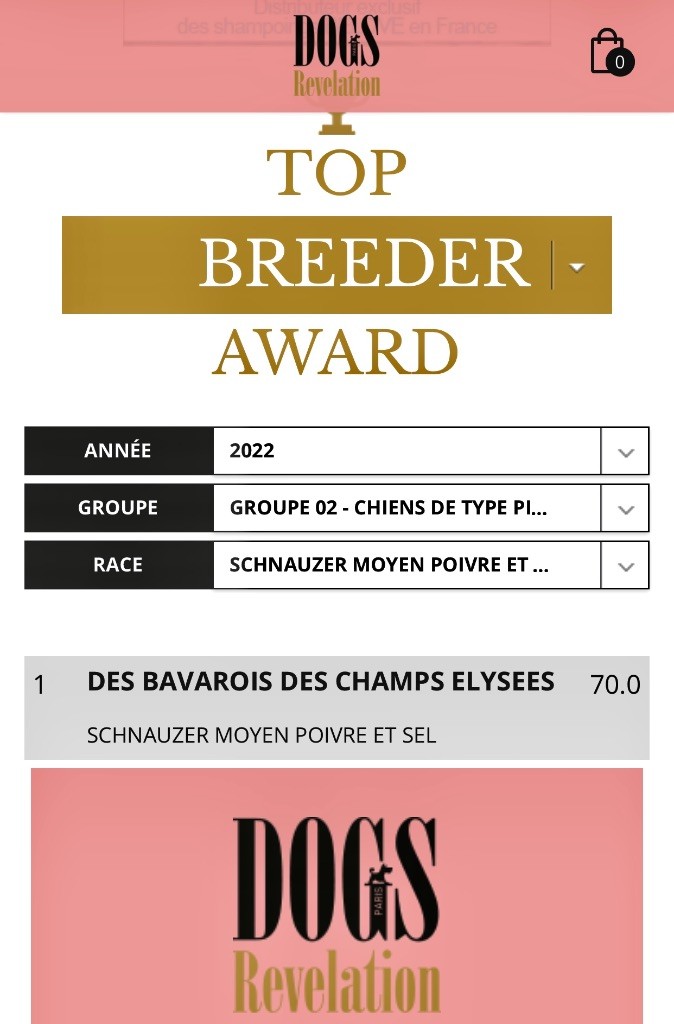 Des Bavarois Des Champs Elysées - Meilleur élevage de schnauzer Moyen poivre et sel
